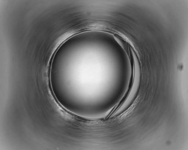 X0000099531434200805161200