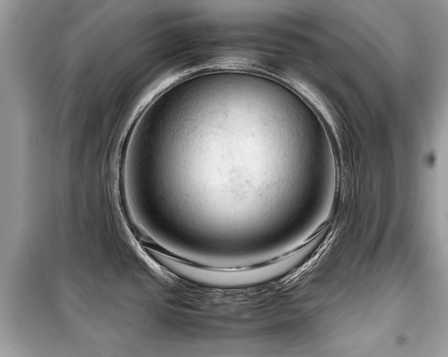 X0000099531437200805161200