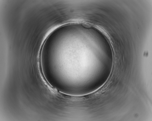 X0000099531440200805161200