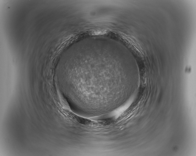 X0000099531441200805161159