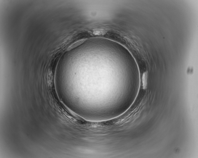 X0000099531443200805161159