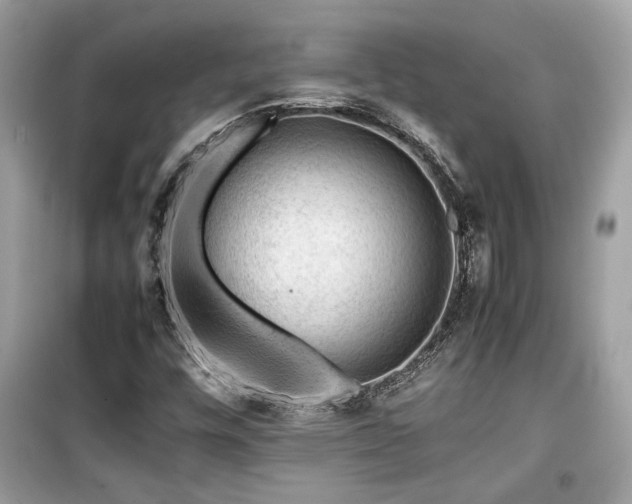 X0000099531448200805161159