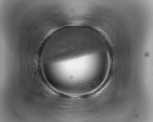 X0000099531449200805161159