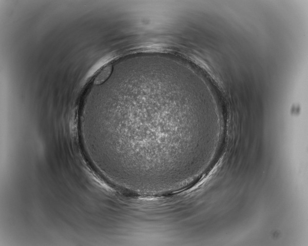 X0000099531450200805161159