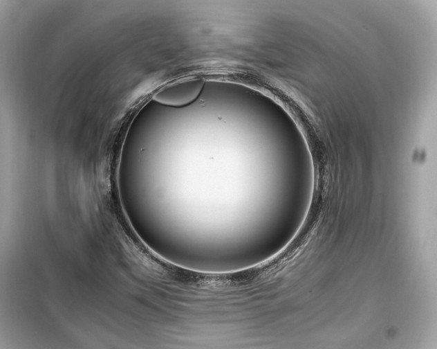 X0000099531451200805161159