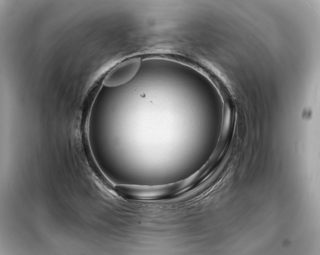 X0000099531452200805161159