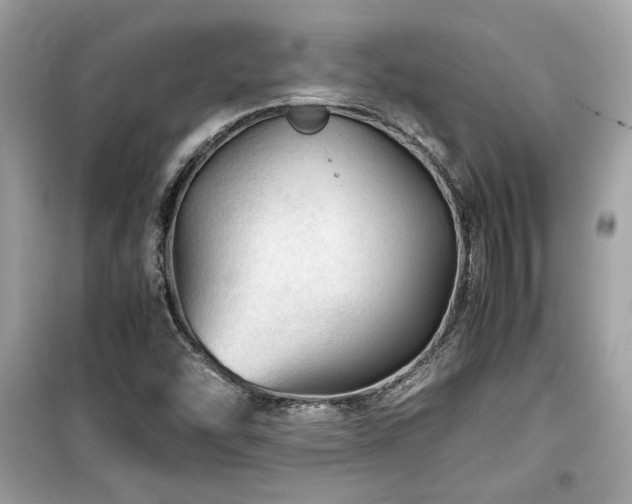 X0000099531454200805161159