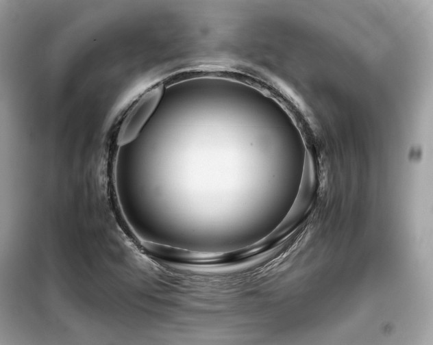 X0000099531456200805161159