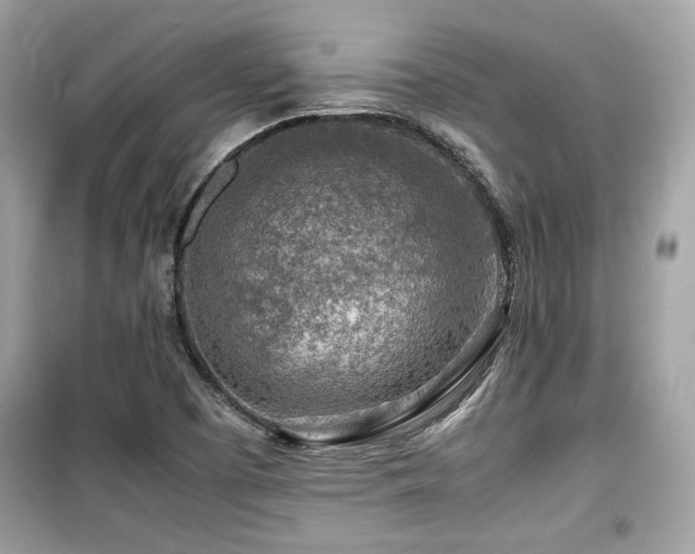 X0000099531457200805161159
