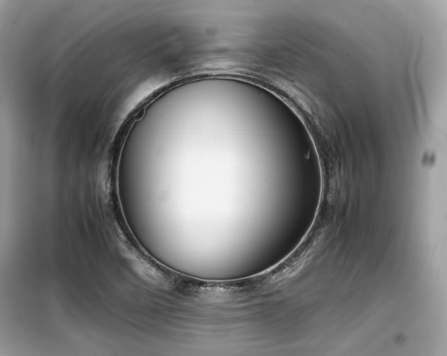 X0000099531458200805161159