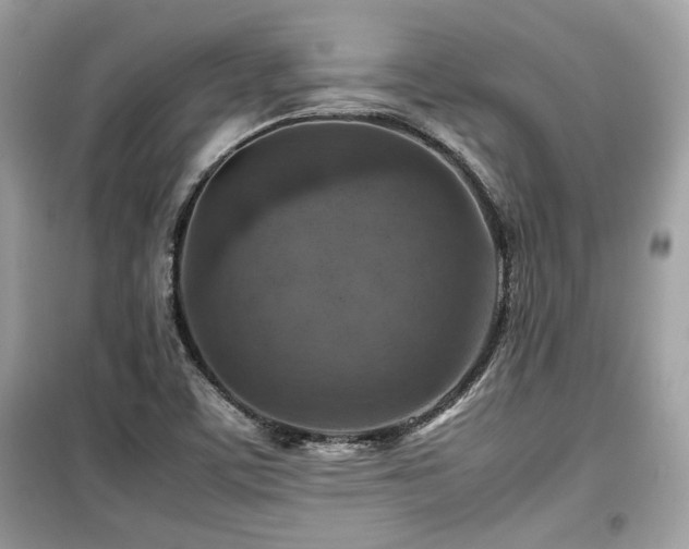 X0000099531459200805161159