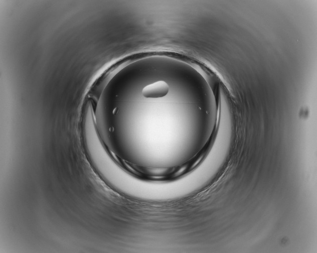 X0000099531460200805161159