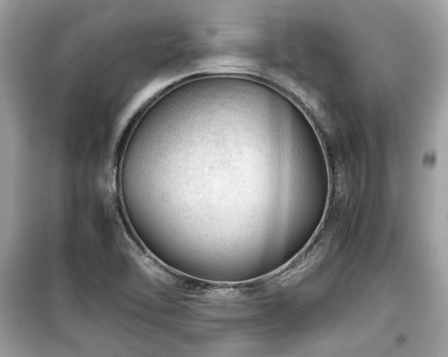 X0000099531462200805161159