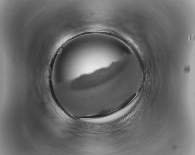 X0000099531463200805161159