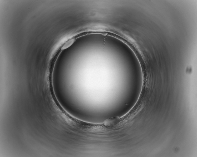 X0000099531464200805161159