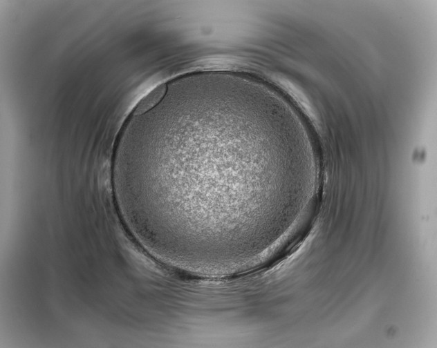 X0000099531465200805161159