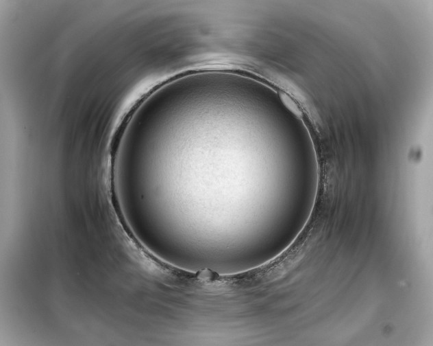 X0000099531472200805161159