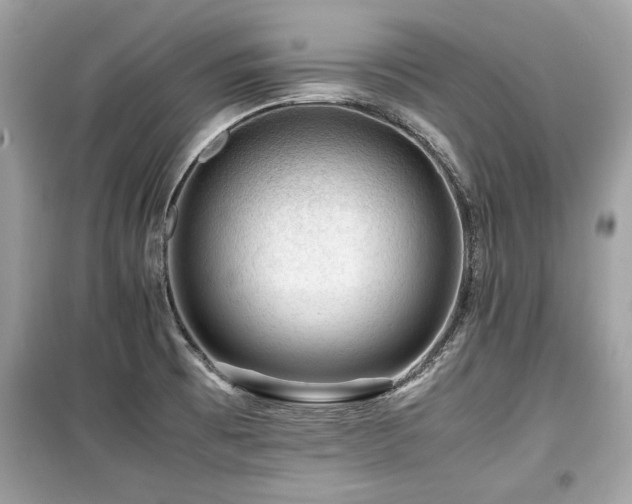 X0000099531473200805161159