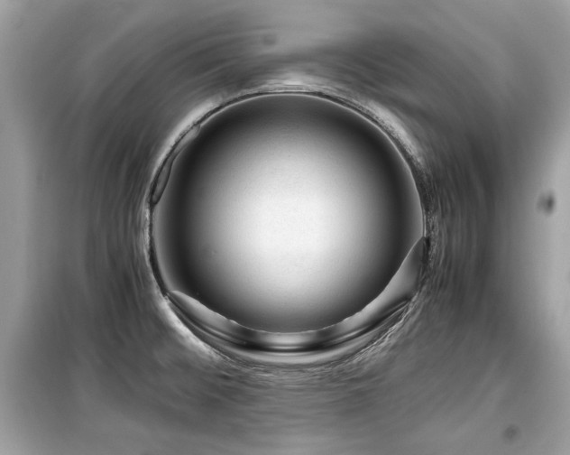 X0000099531476200805161159