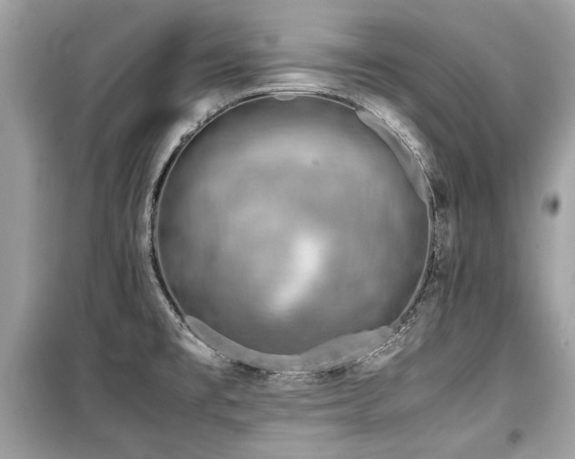X0000099531477200805161159