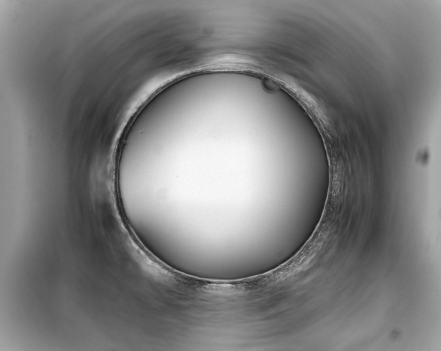 X0000099531478200805161159