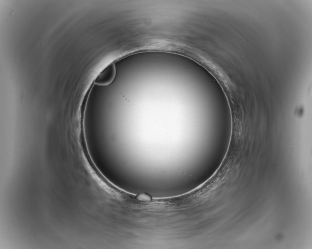 X0000099531479200805161159