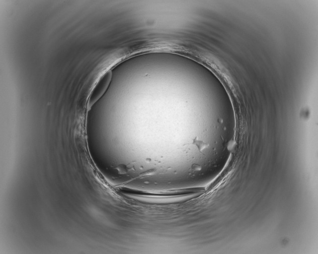 X0000099531481200805161159