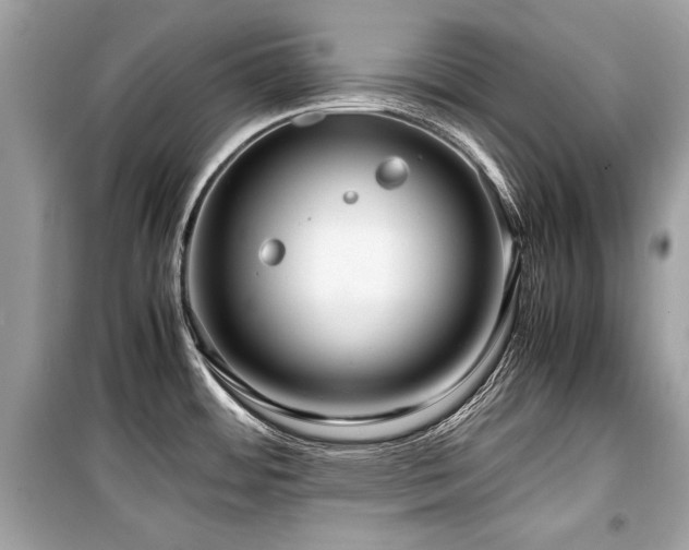 X0000099531484200805161159