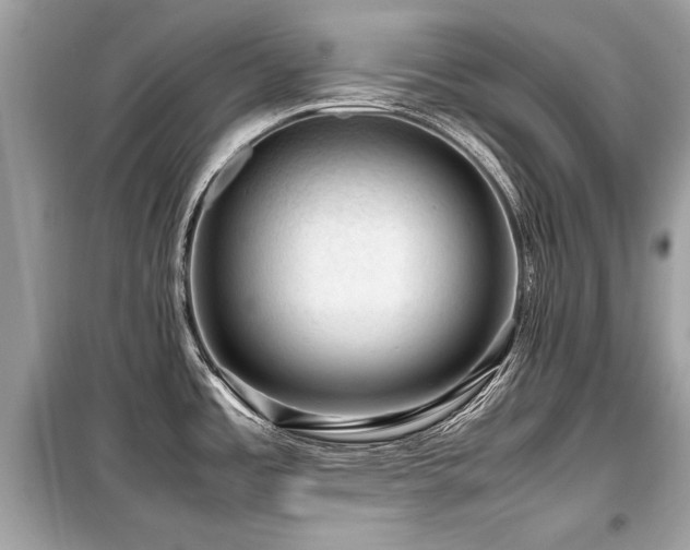 X0000099531485200805161159