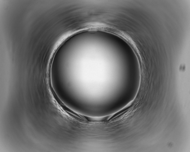 X0000099531488200805161159