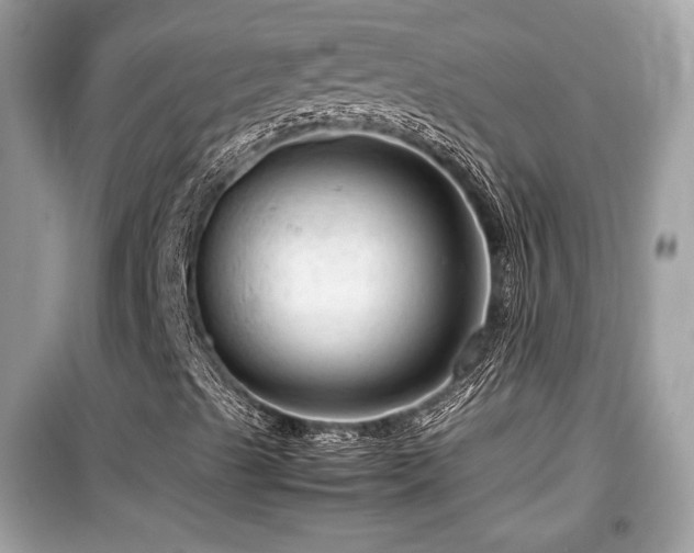 X0000099531489200805161158