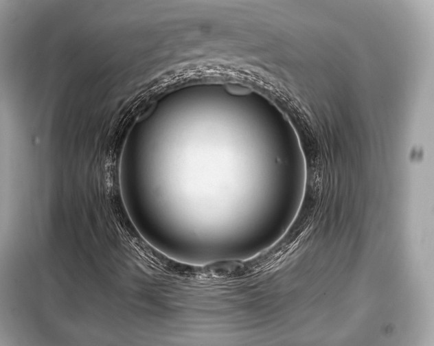 X0000099531490200805161158