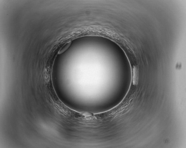 X0000099531491200805161158