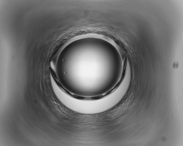 X0000099531492200805161158