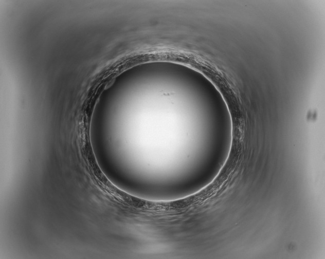 X0000099531493200805161158
