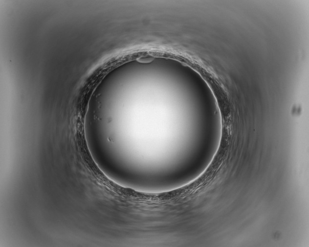X0000099531495200805161158