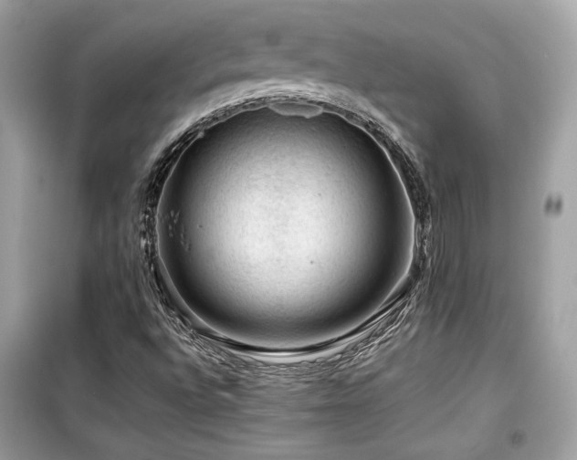 X0000099531496200805161158
