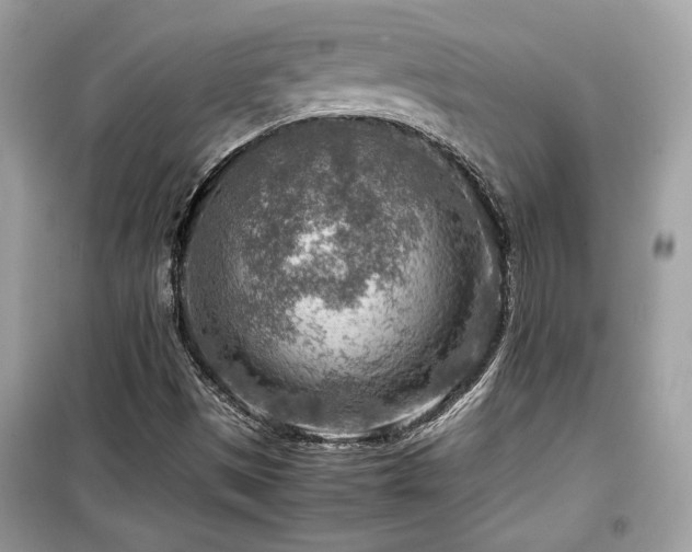 X0000099531497200805161158