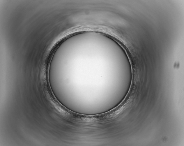 X0000099531498200805161158