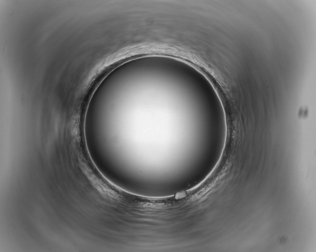 X0000099531499200805161158