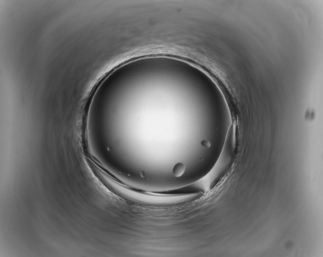 X0000099531500200805161158