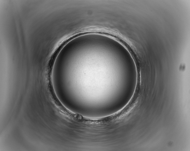 X0000099531501200805161158