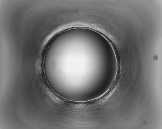 X0000099531502200805161158