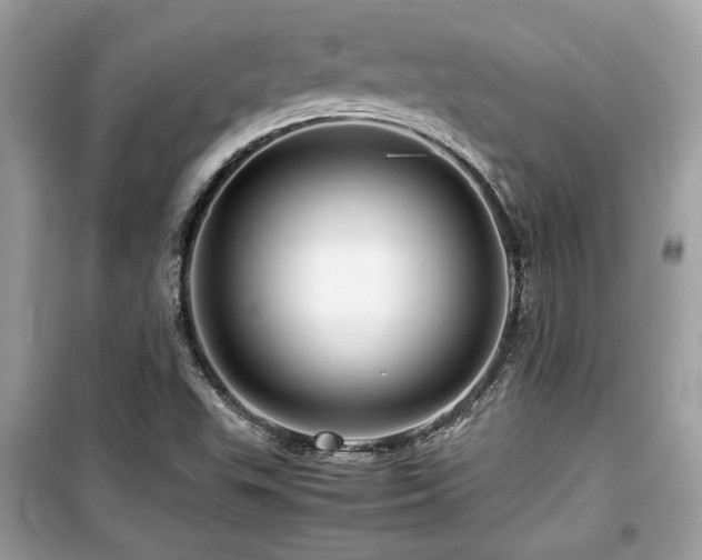 X0000099531503200805161158