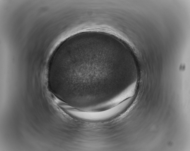 X0000099531506200805161158