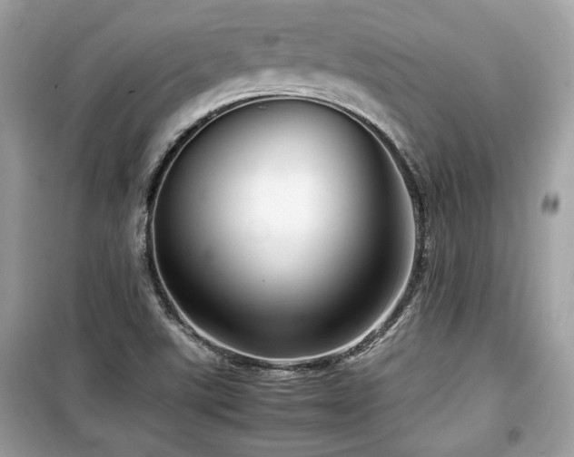 X0000099531507200805161158