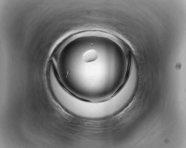 X0000099531510200805161158
