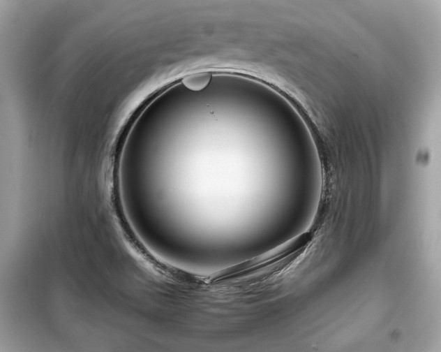 X0000099531511200805161158