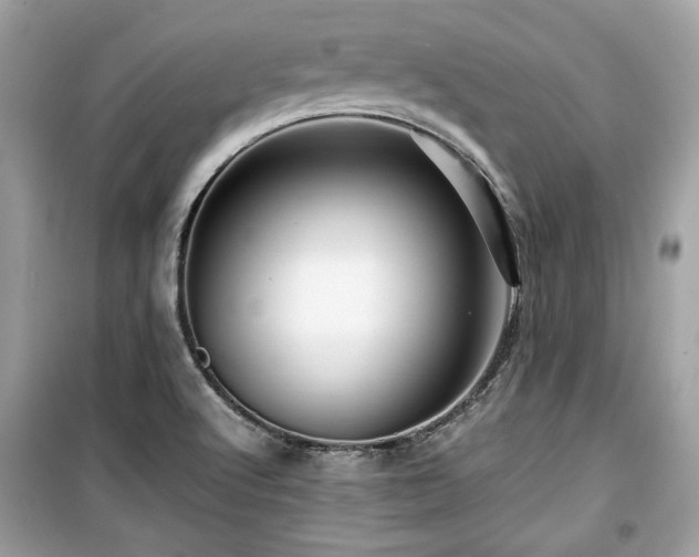 X0000099531512200805161158