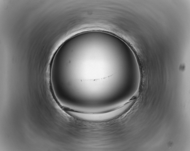 X0000099531516200805161158